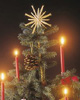 Ozdobte si vánoční stromeček v přírodním duchu